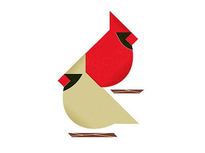 Cardinals birds cardinal chirp illustration indiana state bird