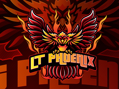 lt phoenix