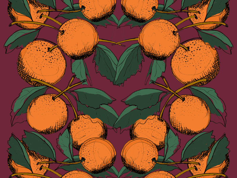 Oranges 🍊 animation bouncy fruit illusion illustration leaf leaves loop motion orange pattern plant process shading smooth texture vine