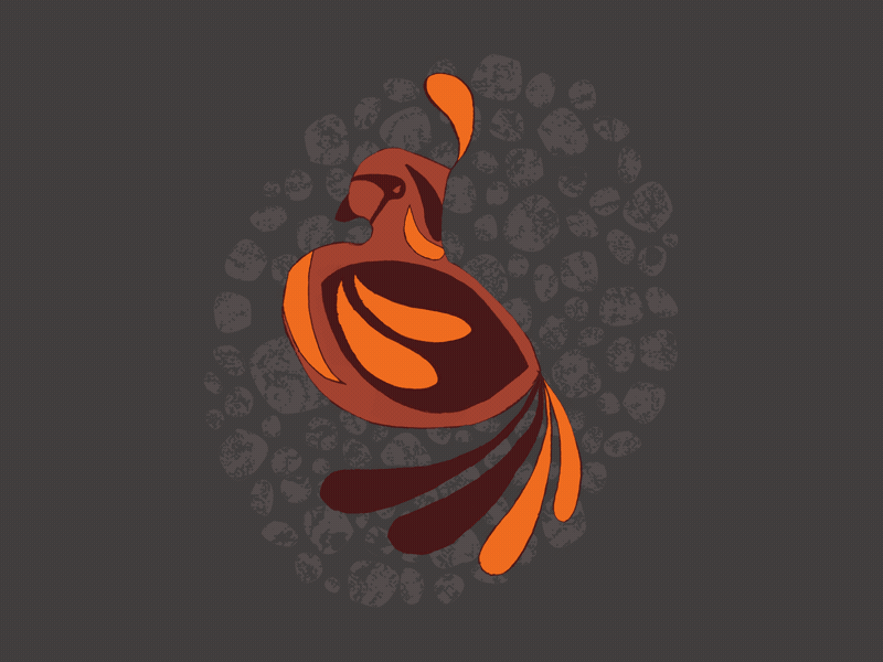Quail Block animal animation bird design illustration logo motion quail simple texture