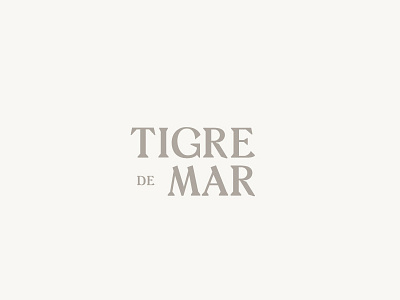 Tigre de Mar beach branding ebikes electric bikes identity mexico tulum