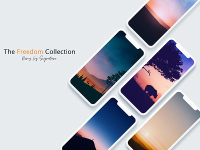 Freedom Wallpack animation branding design gradient illustration illustrator landscape minimal vector wallpaper