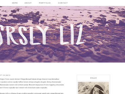 SL v1.0 blog layout wordpress