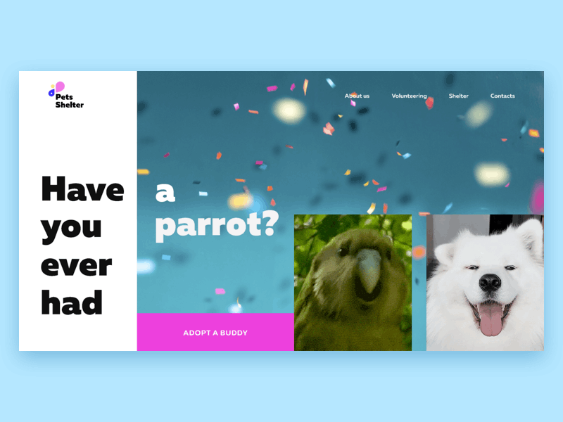 Have you ever had a pet? animal animation bird button cat design desktop dog figma hello hellodribbble new page parrot pets pink principle screen web design webdesign