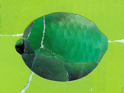 Lime collage green lime ripped paper