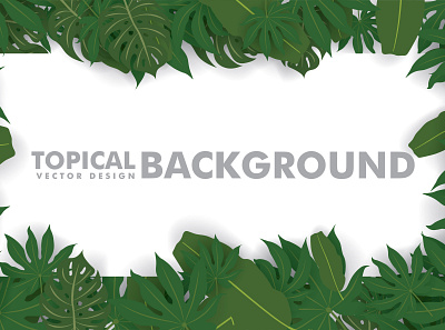 TROPICAL BACKGROUND 3d background design floral graphic design illustration tropical vector