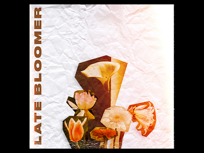 Late Bloomer v2 album artwork bloom cover flower song
