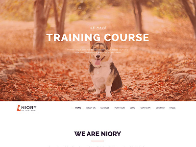 Niory Version 1 clean clear one page pet responsive shop ui ux