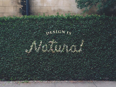 Design Is Natural flowers lettering natural nature typography
