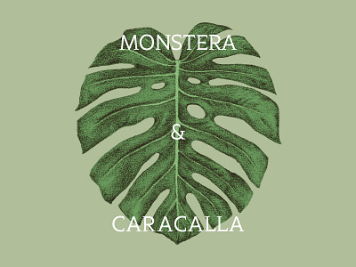 Monstera & Caracalla caracalla custom font custom type font illustration mattymatt monstera plant typeface