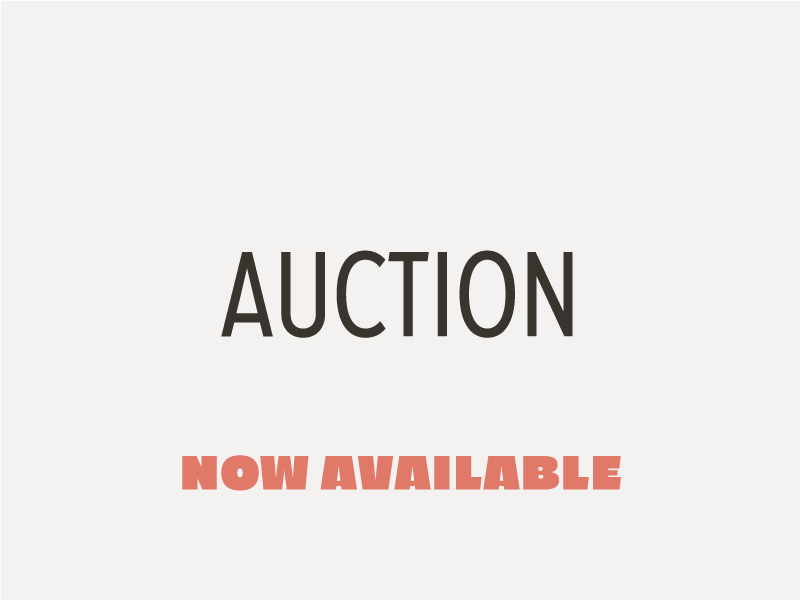 Auction is now available! bakery bold custom font font sans serif sans serif sign painter type typography