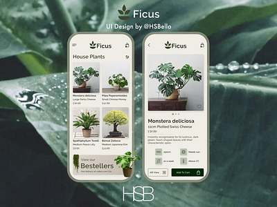 Plant Shop app augmentedreality design plant plant shop ui uidesign ux