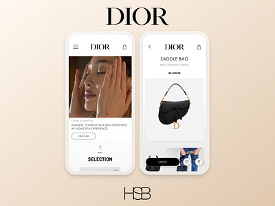 Dior UI Concept