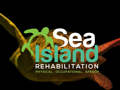 Sea Island creative logo design flat logo logodesign minimalist logo professional logo