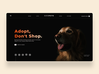 Adopt, Don't Shop. adobe adobe xd design dogs minimal ui ui website ux web webdesign website