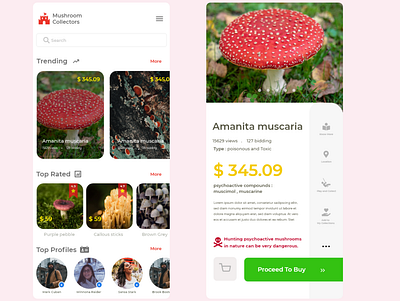 mushroom final 2 1 adobe adobe xd app app design application design minimal mushrooms self ui ui website ux website