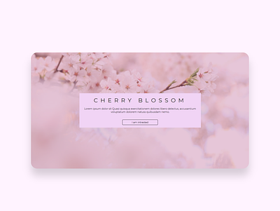 cherry blossom adobe html minimal website
