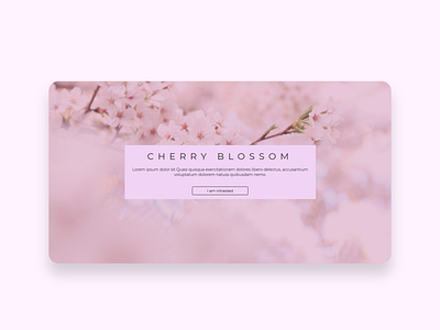 cherry blossom