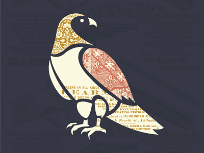 Tony Hawk bird hawk illustration texture typography