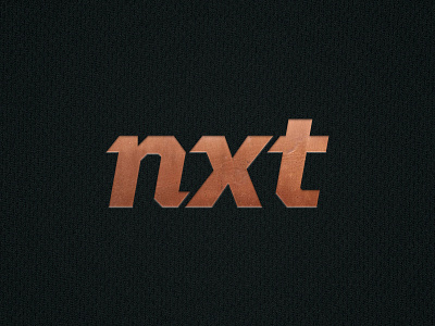 who's nxt? aggro branding copper logo nxt sports typography united