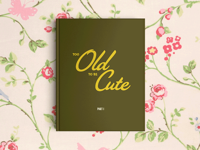 Too old to be cute...Too young to be fun. 100daysofbooktitles book cover editorial typography