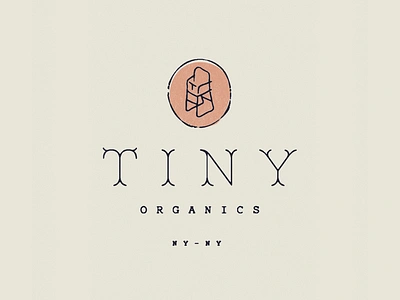 Tiny Organics babies baby food branding highchair iconography identity illustration new york organics tiny typography