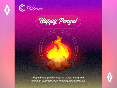 Happy Pongal art artwork branding design dribble shot illustration poster vector