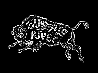 Buffalo River T branding design illustration logo typography