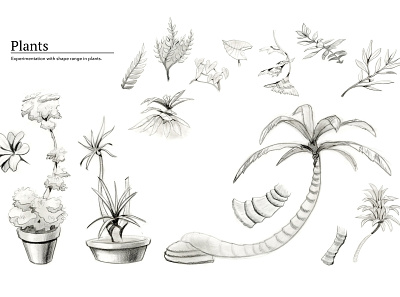 Plants and Shaps background layout prop design props visual development