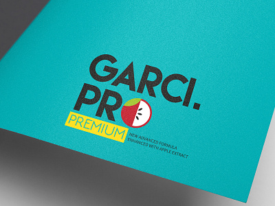 Garci Pro V2