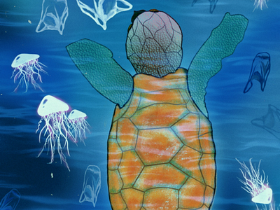 Save the turtles animal design digital graphic illustration ui