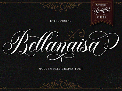 Bellanaisa Script art branding design illustration lettering logotype modern calligraphy modern calligraphy font type typography