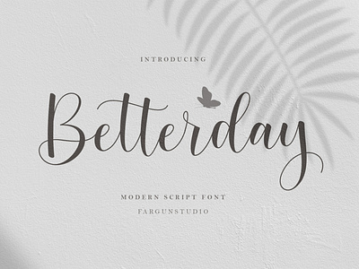 Betterday Script branding brush font design illustration lettering logotype modern calligraphy modern calligraphy font type typography