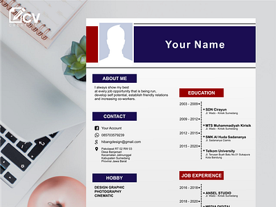 vAttractive and Professional Job Application Cv Design