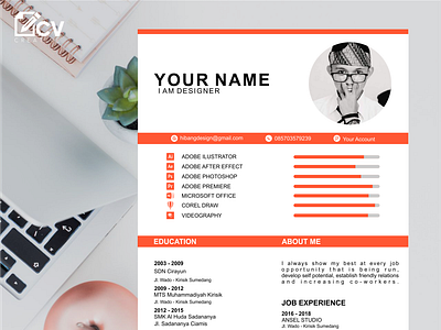 e Professional CV resume  design