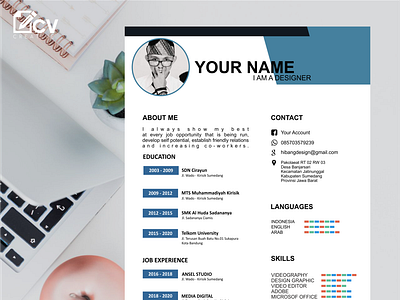 Design Services for Job Application Cv design