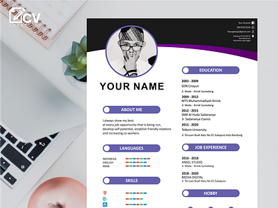 Design Services for Job Application Cv design