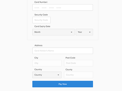 Payment Form form payment ui webapp