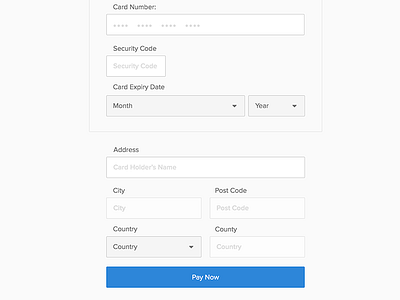 Payment Form