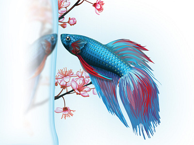 Beta Fish beta blossom cherry fighting fish illustration japanesse reflection sake sakura vector