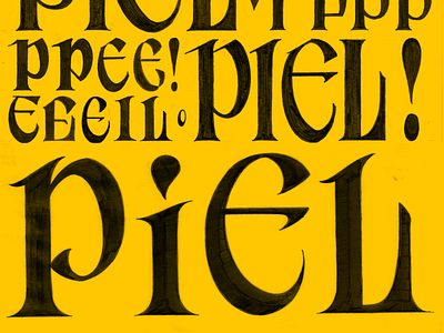 Piel Sketches branding calligraphy design graphic design lettering logo sketch type