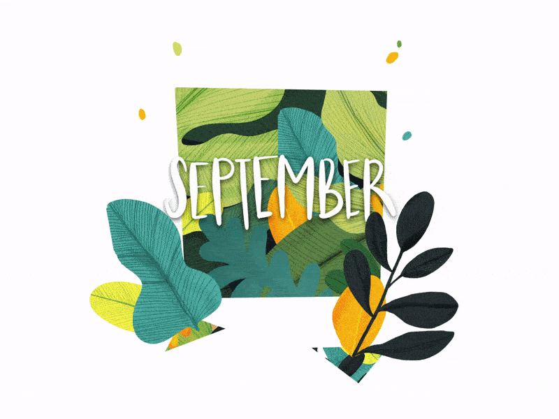 September Garden Parallax Animation 3d aftereffects animation effect lettering parallax plant september