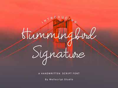 Hummingbird Signature Font