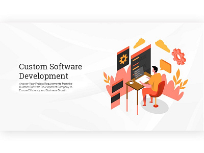 Page Concept for Custom Software Development Services custom development company