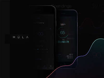 Layout for MULA App app brand branding color identity interface ios layout mobile typography ui ux