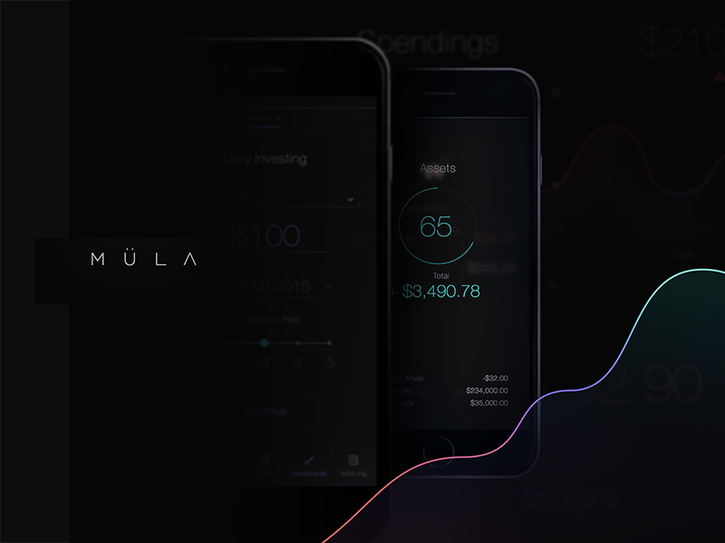 Layout for MULA App typography color branding brand identity ux interface ui layout ios mobile app