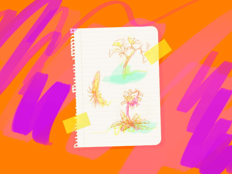 Concept Exploration sketches colours art concept flower botanics plants tree color