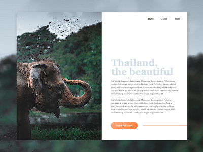 Elegant Elephants blog graphic design travel travel blog ui ui design ui designer web web design