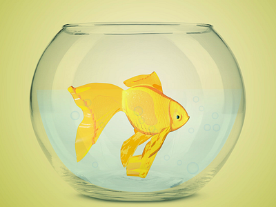 Goldfish 3D Illustration 3d 3d art animation gif animated illustraion motiongraphics