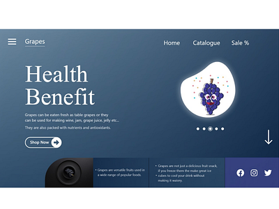 Health benefit concept website ui